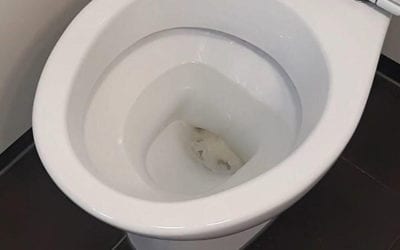 Causes of Blocked Toilets